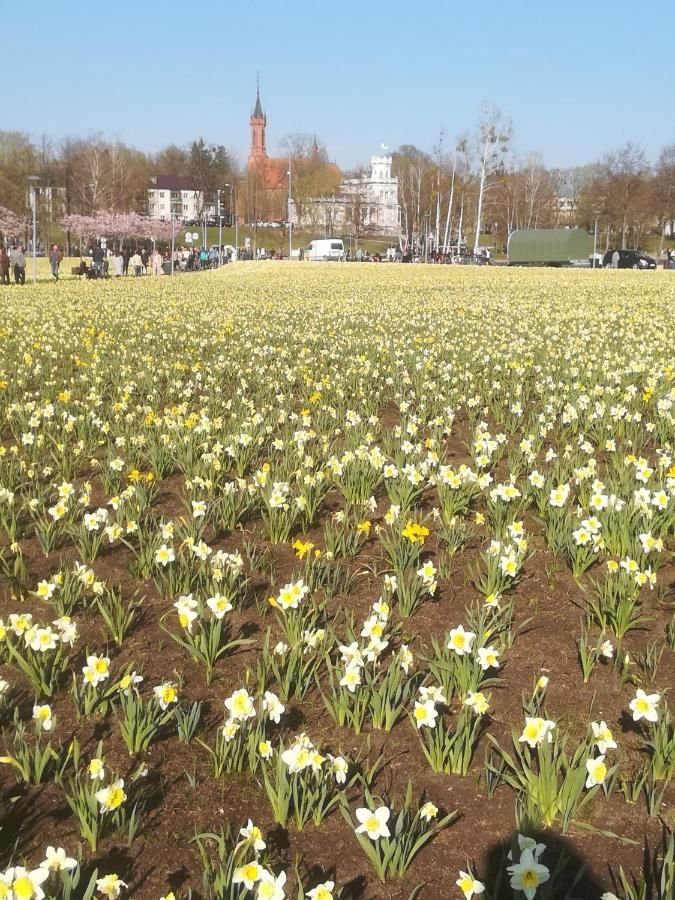 Апартаменты Butas Vilniaus alėjoje Друскининкай-12